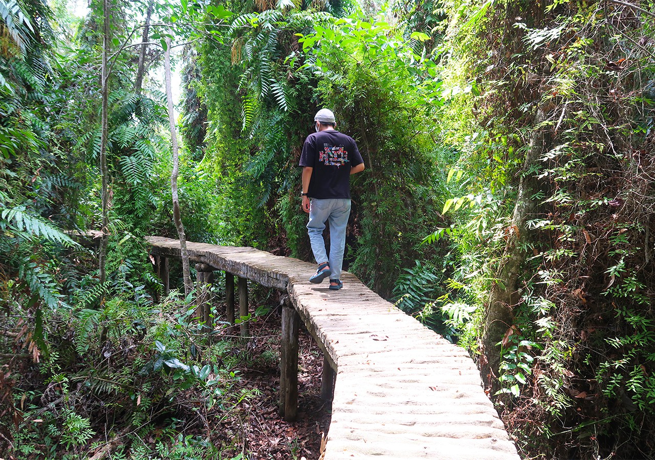 Đi bộ trong rừng Xẻo Quýt - tour du lịch vườn quýt hồng Lai Vung