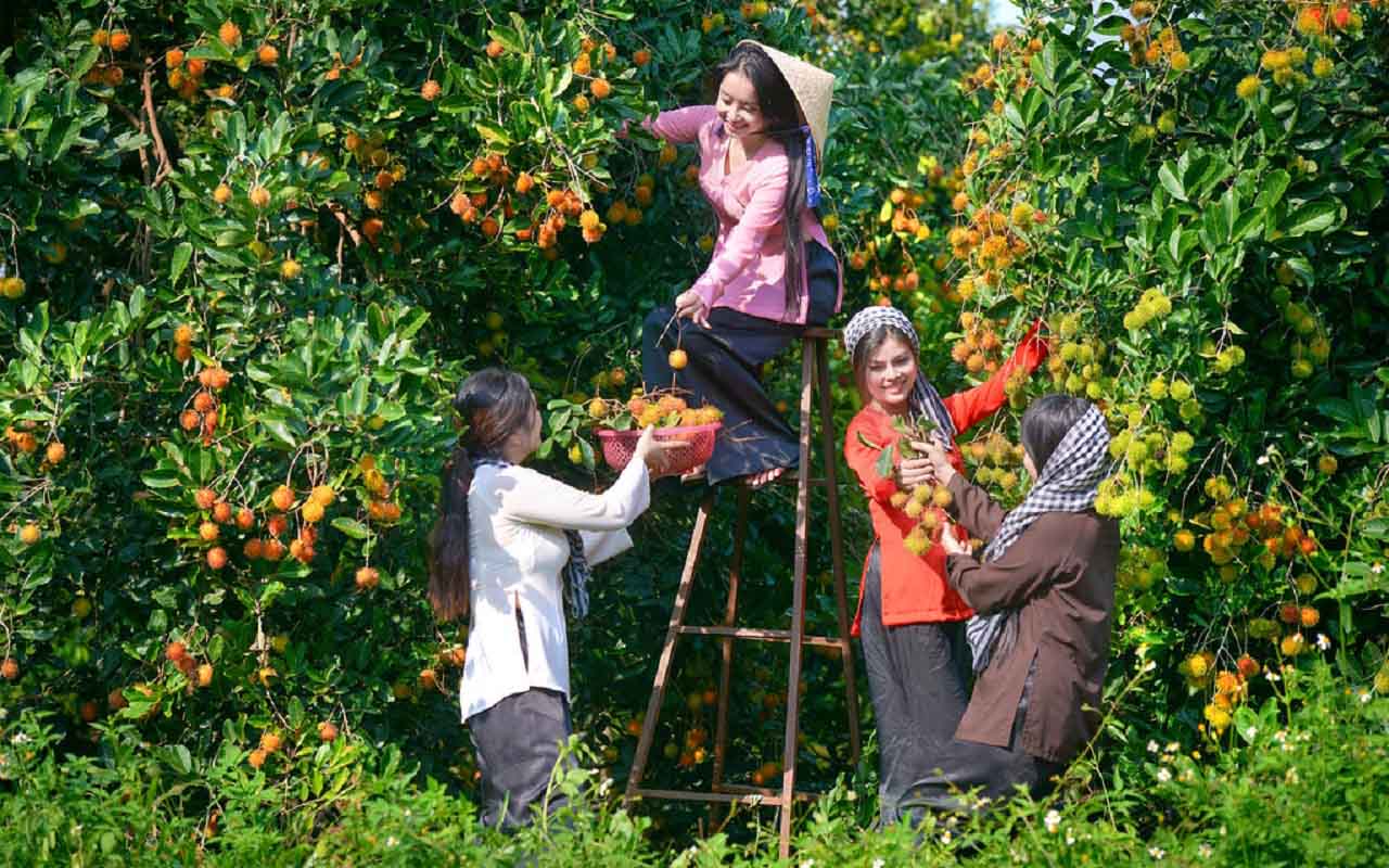 Vườn trái cây Ba Xinh